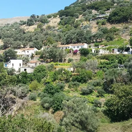 Apartment Panorama
